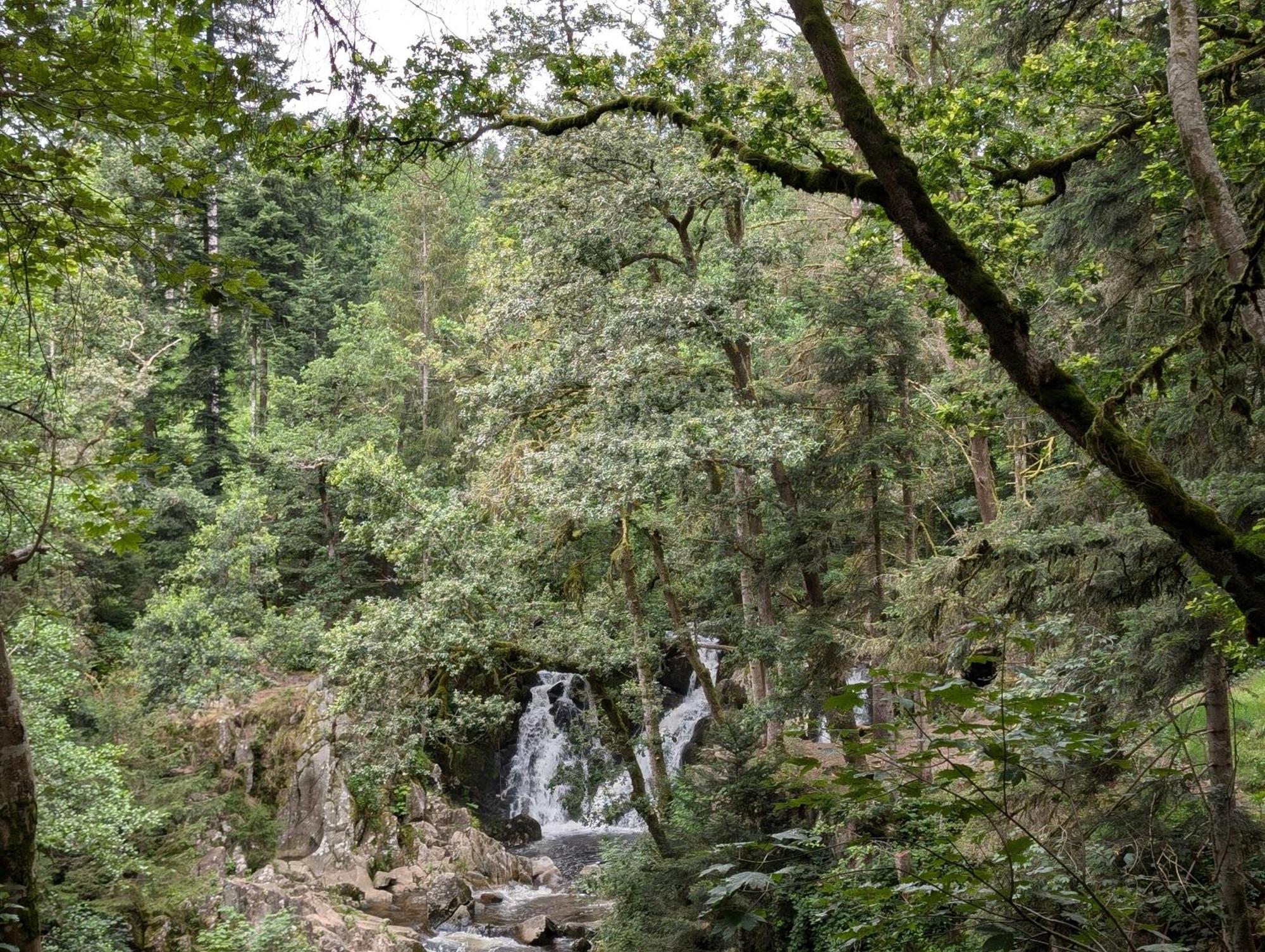 Le Petit Counehet Cornimont Esterno foto